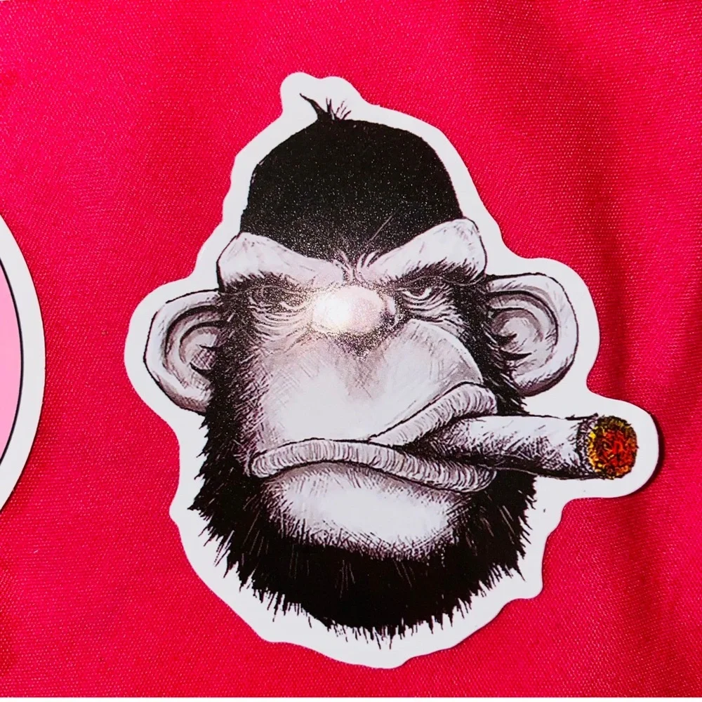 Sassy Sticker Bundle Water Bottle, Laptop Etc